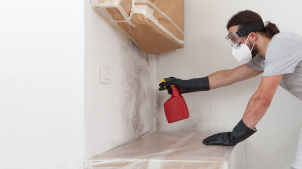 Professional Mold Remediation technician working in Hume, VA