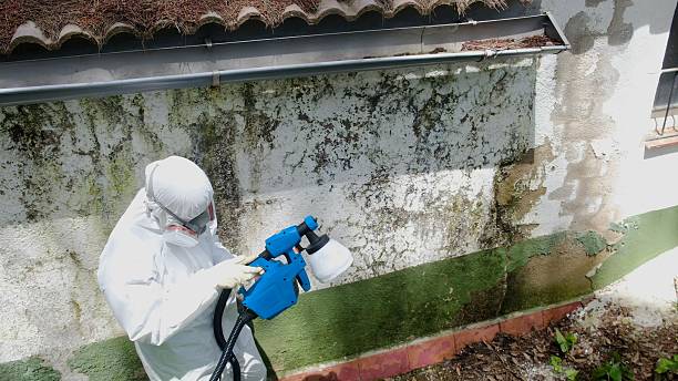 Top rated local Mold Remediation specialists in Hume, VA